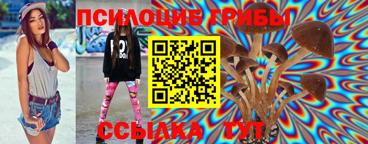 Волоколамск  Псилоцибиновые грибы GOLDEN TEACHER  Вход с VPN 